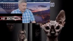 Последние 36 часов российской армии в Крыму (You Tube-23) / Кот Костян