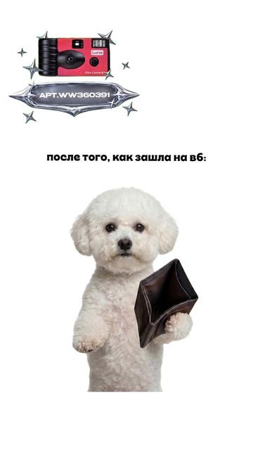 Плёночный фотоаппарат на 36 кадров (Артикул WB: #WW360391)💕