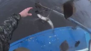 ПРИЕХАЛ ГОСТЬ И ОБАЛДЕЛ! НАВАЛИЛО МОРСКОЙ РЫБЫ НЕ ПОДНЯТЬ СЕТИ!
