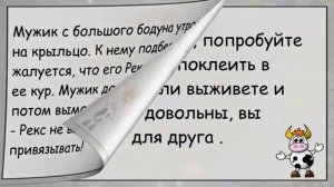 #анекдоты #юмор #Вирус #Тренды #Развлечения #Смешно #смешныеанекдоты