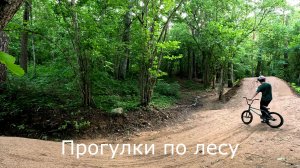 Прогулки по лесу. Какие у нас есть трамплины и змейки.