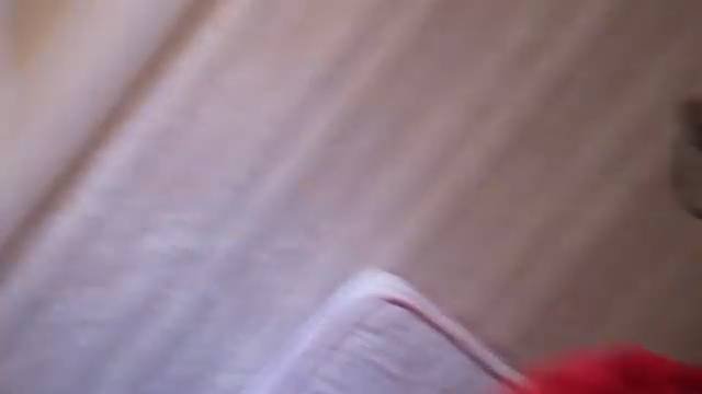 3 часть семьи Медведей (1 серия)