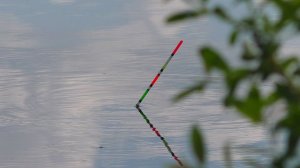 Рыбалка на удочку для души 🎣 ЭТО НАДО ВИДЕТЬ 🎣 Рыбалка на поплавке | Озеро Глушица