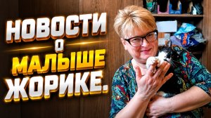 Новости о малыше Жорике.