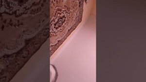 1000002911.mp4