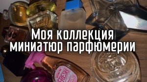 Миниатюры парфюма коллекция | Versace, Dolce Gabbana