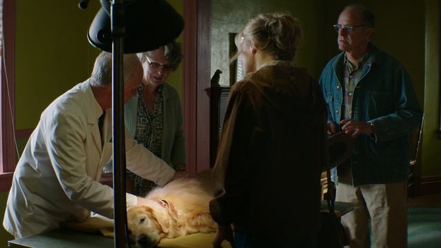 Собачья жизнь (фильм, 2017)