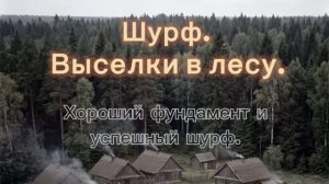 Шурф. Выселки в лесу. Хороший фундамент и успешный шурф.