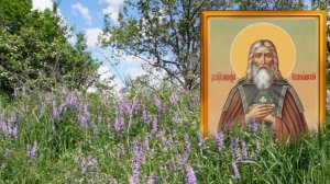 17 июня Митрофанов день. Послушайте землю и вам откроются тайны и секреты.