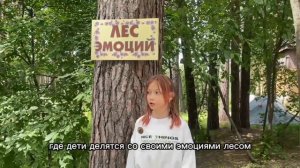 лес эмоций