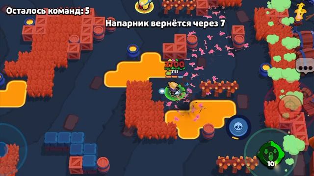 апою ворона на прайм 😮💨