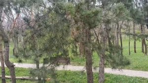 В ПЯТИГОРСКЕ ВЕТРЕНО