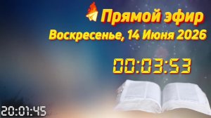Прямой эфир. священник Константин Мальцев