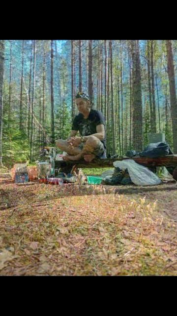 Ленобласть бесконечная #леса