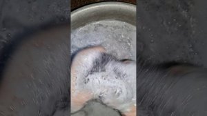 10206.mp4