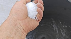 Работаем по пшенице на качество