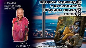 Встреча Гаджендры с крокодилом. Причины прихода Господа. Лила Киртан дд. «Шримад-Бхагаватам» 8.3.12