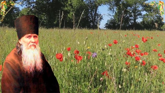 Амвросий Оптинский. Почему опасно любопытство?