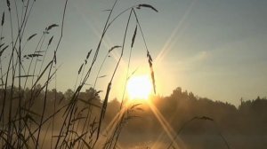 Приходит яркая заря