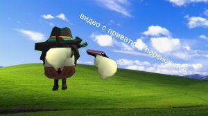 Видео с приваткой переносится :(