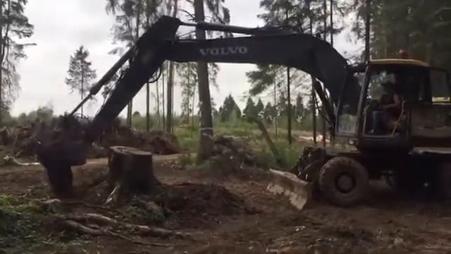 Выкорчёвка пней в Ярославле смотреть онлайн