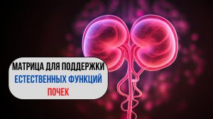 ✅ Звуковая матрица для ПОЧЕК | 5-минутный сеанс для детокса и поддержки