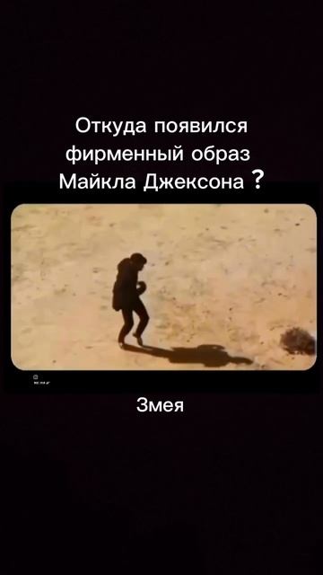 3695.mp4 смотреть онлайн