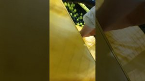 тц