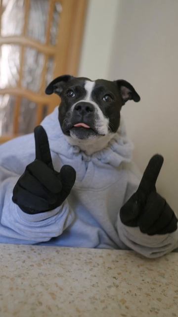 Спела как смогла! 🐶🎤