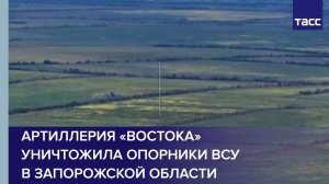 Артиллерия «Востока» уничтожила опорники ВСУ в Запорожской области