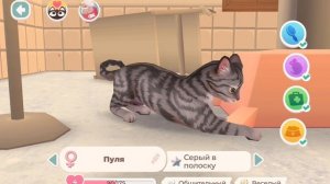 Играю в 2 Игры. Котики мальчики и девочки!!!