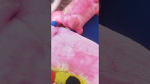 YouCut_20260614_111637433