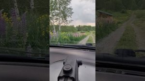 14.06.2026