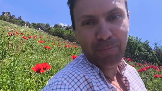 Бештаугорские маки 10.06.2026 Часть 1
