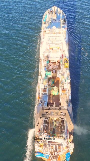 Фабричный траулер-переработчик Northern Jaeger компании American Seafoods возвращается к причалу