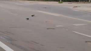 Пары встречались