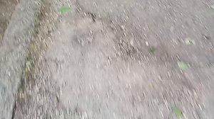 1000286134.mp4