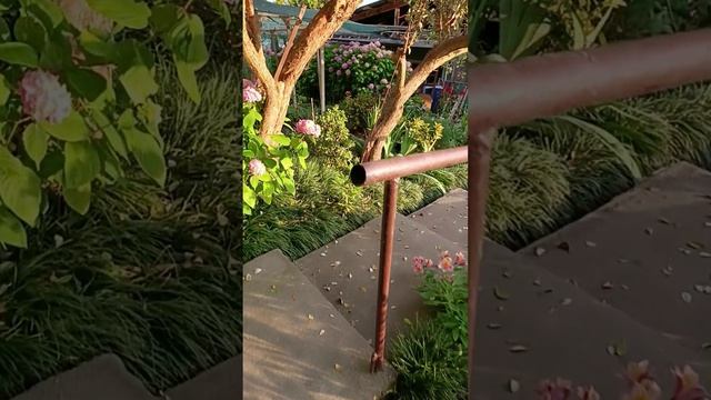 Вечерний обход территории 🌺🌊☀️