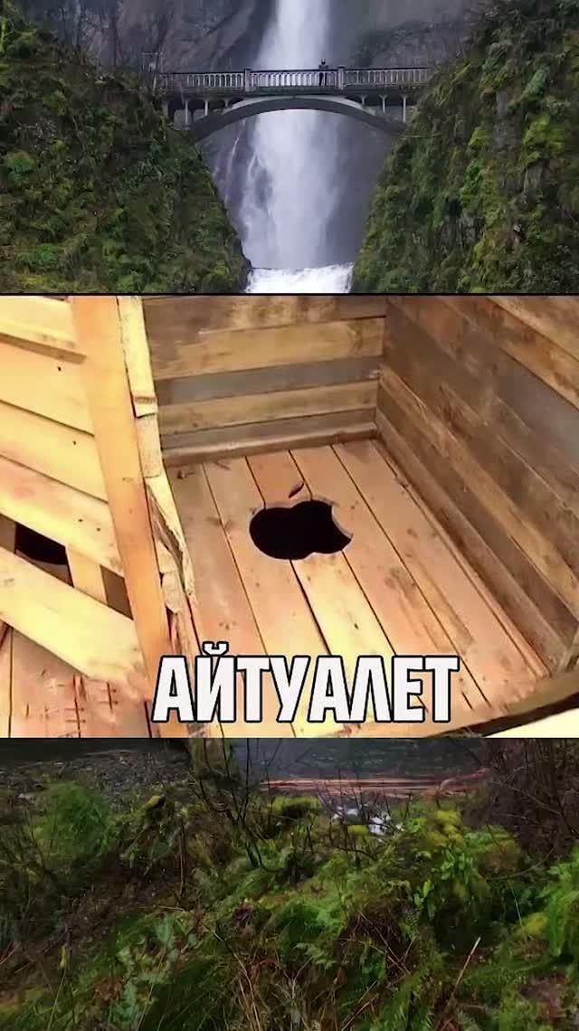 Шучу о туалете