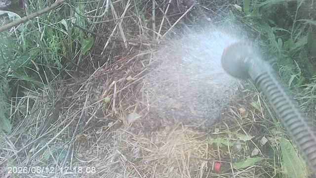 Обзор и орошение другой нашей компостной кучи