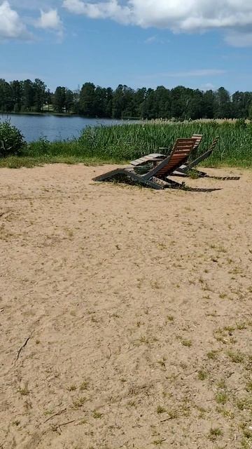 Обзор. Акулëнок и природа рядом.