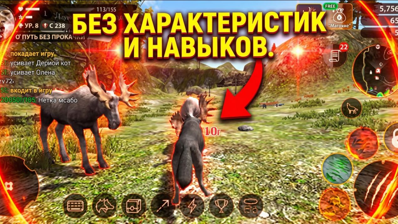Создал профиль без характеристик и навыков | The Wolf