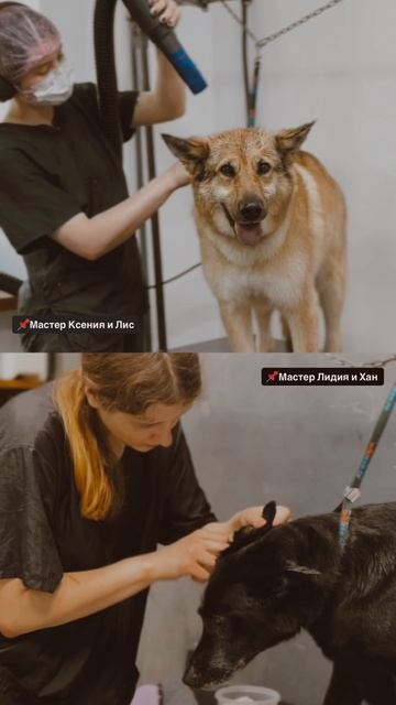 Лис и Хан 🤍