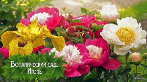 Ботанический сад. Июнь (2026)