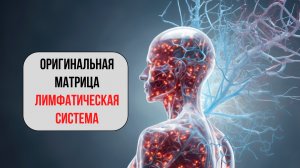 Матрица «Очищение Лимфы» — оригинал 2026! Полное восстановление лимфатической системы