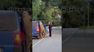 У европейцев всё стабильно.