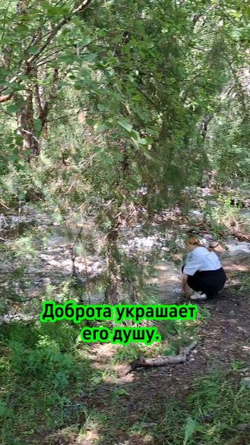 Туризм
