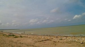 Берег ВИСТА! Отдых у воды.