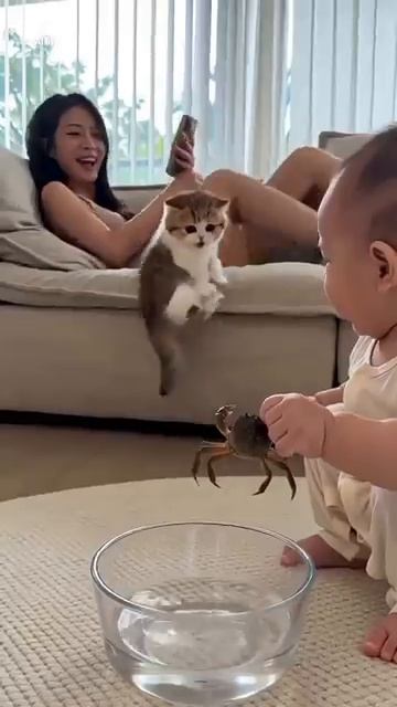 👶🏼РЕБЁНОК И КОТЁНОК🐱