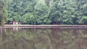 Утренний обзор с нижнего водоёма. Клёвое место, Лосиный остров.